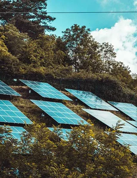 Green Power: Pioneering Renewable Energy Initiatives in Thailand